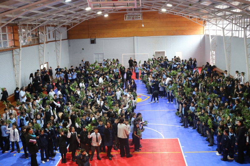 Celebración de Ramos